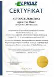 AUTO GAZ ELEKTRONIKA - MONTAŻ I NAPRAWA SAMOCHODOWYCH INSTALACJI GAZOWYCH AUTO GAZ ELEKTRONIKA - MONTAŻ I NAPRAWA SAMOCHODOWYCH INSTALACJI GAZOWYCH